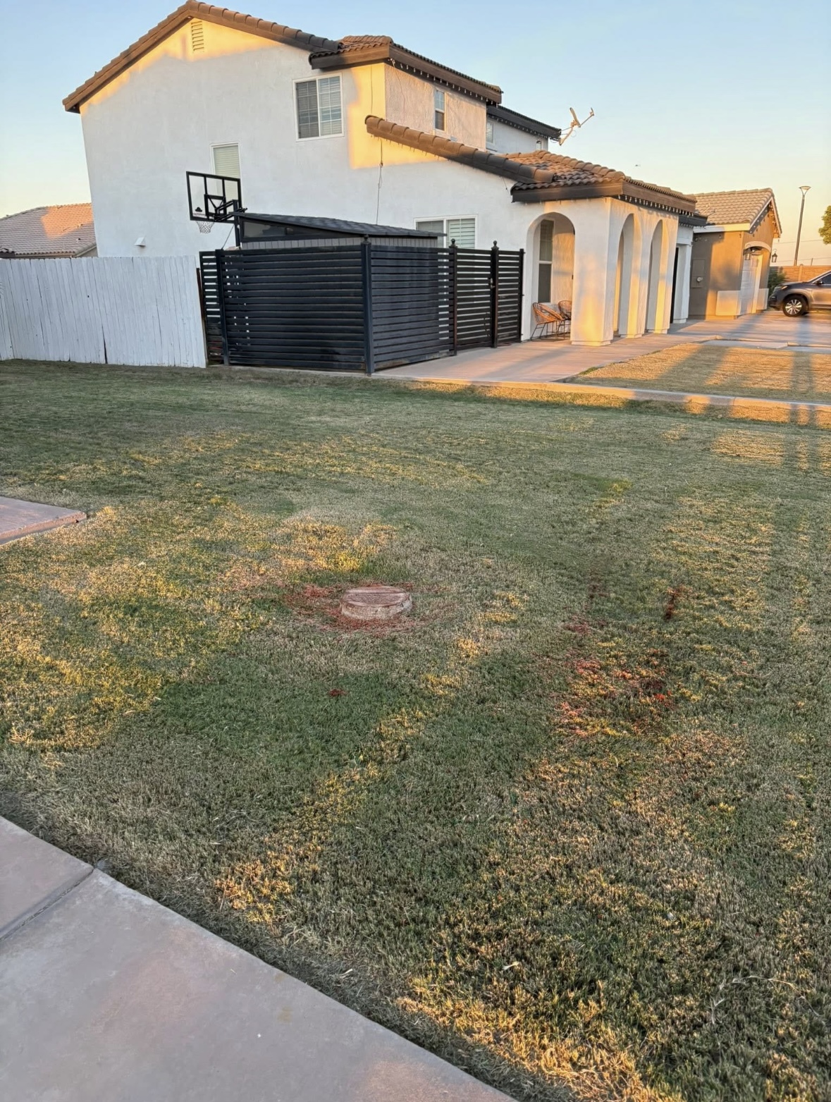 Tree removal after service